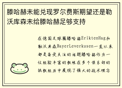 滕哈赫未能兑现罗尔费斯期望还是勒沃库森未给滕哈赫足够支持